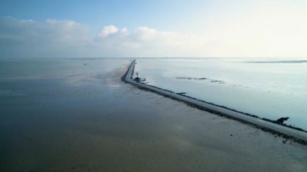 Vendée : sur le mythique passage du Gois, qui vit au rythme des marées&nbsp;&nbsp; (FRANCE 2)