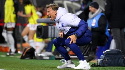 Le sélectionneur des Bleues, Hervé Renard, lors du match amical contre la Colombie, le 7 avril 2023 à Clermont-Ferrand. (FRANCK FIFE / AFP)