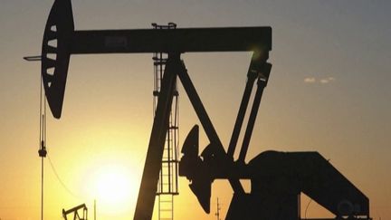 Environnement : les géants pétroliers visés par plusieurs plaintes (France 2)