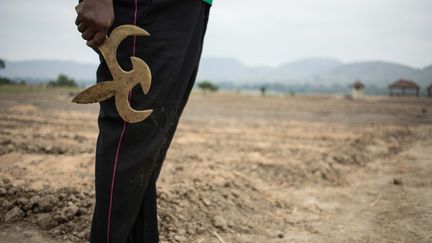 Cette région abrite des communautés pygmées, un peuple de chasseurs et de cueilleurs des forêts tropicales. Pour travailler la terre, Ils utilisent un konga, outil agricole pygmée traditionnel. (FLORENT VERGNES / AFP)