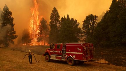 Un pompier du Département des forêts et de la protection contre les incendies de Californie (Cal Fire) lutte contre le feu, le 23 juillet 2022.&nbsp;Jonathan Pierce, un porte-parole des pompiers, a déclaré qu'une faible humidité et des températures élevées alimentaient l'incendie. (JUSTIN SULLIVAN / GETTY IMAGES NORTH AMERICA / AFP)