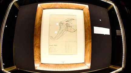 Le dessin original de la carte de l'Île Mystérieuse, tracé de la main de Jules Verne, exposé à Drouot, à Paris, le 28 février 2017
 (Martin Bureau / AFP)