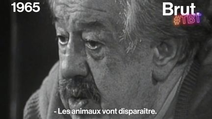 Quand l'acteur Michel Simon prédisait la disparition des oiseaux, des insectes et de la vie sur Terre… en 1965.