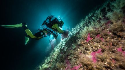 Les scientifiques d'Under The Pole, co-fondées par Ghislain Bardout et Emmanuelle Périé-Bardout, entament leur 4e expédition avec le programme de recherche scientifique nommé Deep life qui s’étalera sur dix ans. (FRANCK GAZZOLA  / UNDER THE POLE)