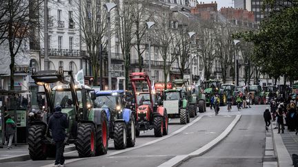 Une manifestation d'agriculteurs avec des centaines de tracteurs dans le centre-ville de Nantes, le 25 janvier 2024. Photo d'illustration. (LOIC VENANCE / AFP)