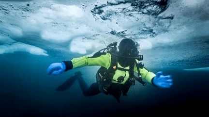 Alban Michon,sous les icebergs du Groënland  
 (Capture d&#039;image France3/Culturebox)