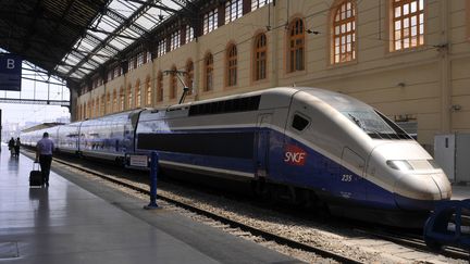 Un TGV en gare de Marseille Saint-Charles, le 15 novembre 2011. (BOB DEWEL / ONLY FRANCE)