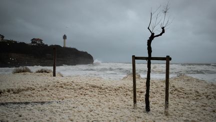 La ville d'Anglet (Pyrénées-Atlantiques) en proie à des vents violents, le 13 décembre 2019.&nbsp; (JEROME GILLES / NURPHOTO / AFP)