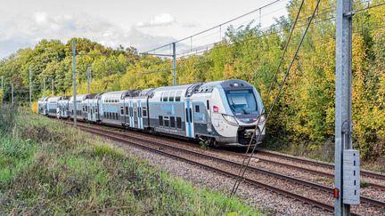 Une rame du RER D circulant en région parisienne, le 10 octobre 2022.&nbsp; (ARNAUD PAILLARD / HANS LUCAS / AFP)