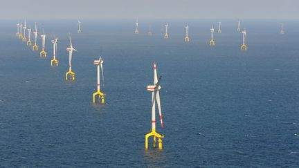 Un parc &eacute;olien en mer du Nord en Allemagne, le 26 ao&ucirc;t 2013. (CARMEN JASPERSEN / DPA)