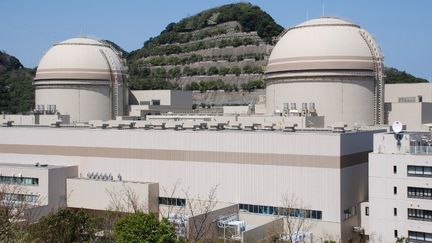 Les r&eacute;acteurs nucl&eacute;aires 3 et 4 d'Ohi, &agrave;&nbsp;l'ouest du Japon, vont &ecirc;tre relanc&eacute;s &agrave; partir du 16 juin 2012. (JIJI PRESS / AFP)