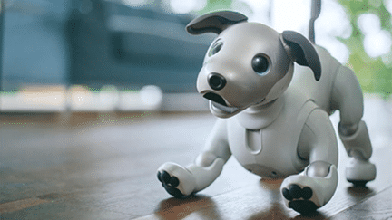 Le nouveau chien robot Aïbo arbore des formes un peu plus&nbsp;arrondies. (SONY)