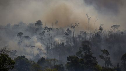 La déforestation, comme ici au Brésil en août 2019, fait partie des combats pour lesquels le plus de défenseurs de l'environnement se sont fait tuer en 2019. (JOAO LAET / AFP)