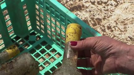 Une nouvelle tendance est très en vogue chez certains vignerons : faire vieillir le vin dans une cave sous-marine. Les bouteilles sont immergées pendant plusieurs mois en mer ou en eau douce. Reportage au Canet-en-Roussillon et sur le lac Léman.&nbsp; (FRANCE 2)