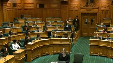 La députée néo-zélandaise Hana-Rawhiti Maipi-Clarke, du parti maori, entame un haka en pleine séance de l'Assemblée pour protester contre un projet de loi sur les relations entre les maoris et le reste du pays, le 14 novembre 2024 à Wellington. (NEW ZEALAND PARLIAMENT / AFPTV)