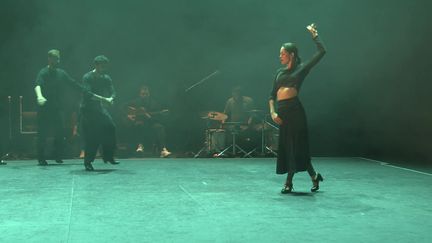 La danseuse et chorégraphe andalouse Patricia Guerrero sur la scène du Théâtre de Gascogne à Mont-de-Marsan, Landes. (CAPTURE D'ÉCRAN FRANCE 3 / A. DUMOULIN)