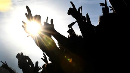 Un concert de Kery James aux Vieilles Charrues, en 2017. (FRED TANNEAU / AFP)