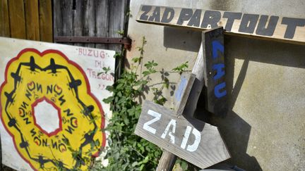 L'évacuation de la ZAD de Notre-Dame-des-Landes sera "périlleuse" mais se fera, selon Manuel Valls.&nbsp; (LOIC VENANCE / AFP)