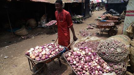 Mais au Nigeria, l'inflation ne s'explique pas uniquement par la conjoncture mondiale et la chute des cours du pétrole car chaque année, 40% de la production alimentaire totale est perdue ou gâchée. Dans ce pays, la corruption est endémique, les routes sont dans un état lamentable, le port de Lagos est totalement congestionné, et l'électricité défaillante ne permet pas de conserver convenablement la nourriture.&nbsp; &nbsp; (PIUS UTOMI EKPEI / AFP)