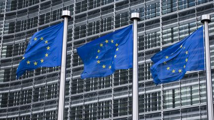 Le si&egrave;ge de la Commision europ&eacute;enne, &agrave; Bruxelles (Belgique). (MICHAEL GOTTSCHALK / PHOTOTHEK / GETTY IMAGES)