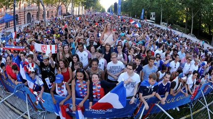 Des supporters de l'équipe de France lors du match France-Islande à Toulouse (Haute-Garonne), le 3 juillet 2016. (MAXPPP)