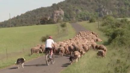 Transports :&nbsp;la campagne conquise par le vélo (France 3)