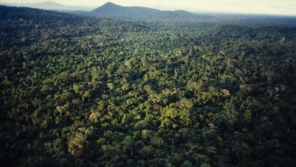 Vue aérienne de la forêt tropicale amazonienne, dans le nord du Brésil, le 15 juin 2017. (BRAZIL PHOTOS / LIGHTROCKET / GETTY IMAGES)