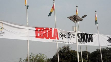 Le 30 décembre 2015 à Conakry, une fête marquait l'éradication du pays du virus Ebola. (AFP/Cellou Benani)