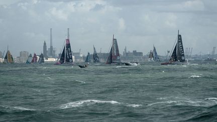 Direction Salvador de Bahia pour les bateaux de la Transat Jacques Vabre