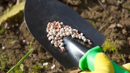 Il existe toutes sortes d'engrais naturels, prêts à l'emploi dans les jardineries ou à faire soi-même, comme le purin de plantes.&nbsp; (GETTY IMAGES)