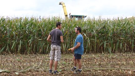 Solidarité : un agriculteur ouvre son champ aux associations