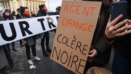 Des pancartes brandies lors d'une manifestation en soutien aux victimes de l'"agent orange", le 30 janvier 2021 à Paris. (JEROME LEBLOIS / HANS LUCAS / AFP)