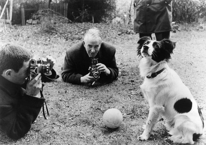 &nbsp; (Le chien Pickles photographié en 1966 après avoir retrouvé la coupe Rimet. © Maxppp)