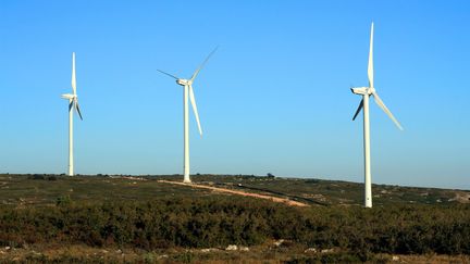 Une ferme &eacute;olienne &agrave; Aumelas (H&eacute;rault), le 26 d&eacute;cembre 2006. (MAXPPP)