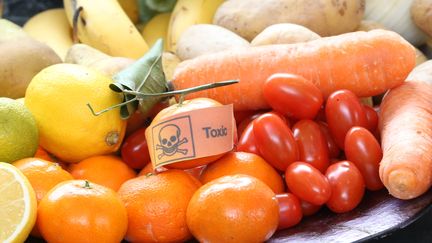 Alimentation : nouvelle alerte sur les perturbateurs endocriniens