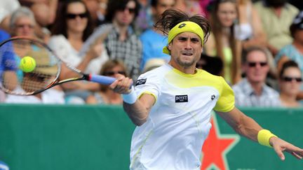 David Ferrer (MICHAEL BRADLEY / AFP)