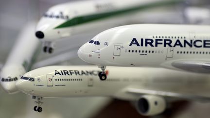  (Air France ne survolait déjà plus une partie de l'Irak (photo d'illustration) © REUTERS / Alessandro Bianchi)