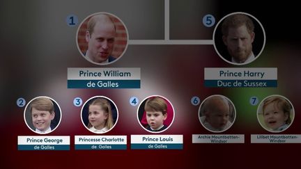 Royaume-Uni : quel est le nouvel ordre de succession de la couronne britannique ? (FRANCE 2)