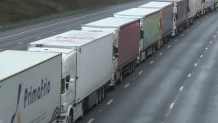 Coronavirus : le trafic des poids lourds britanniques à l’arrêt (FRANCE 2)