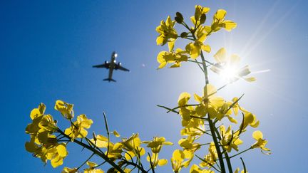 La France va proposer une taxation du transport aérien au niveau européen, le 6 juin 2019. (JULIAN STRATENSCHULTE / DPA / AFP)