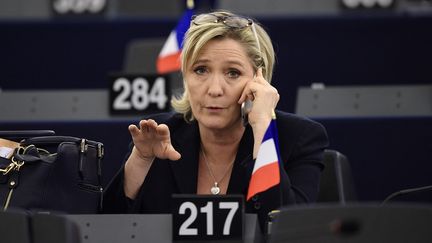 Marine Le Pen, alors députée européenne et présidente du Front national, le 17 janvier 2017 au Parlement européen, à Strasbourg (Bas-Rhin). (FREDERICK FLORIN / AFP)