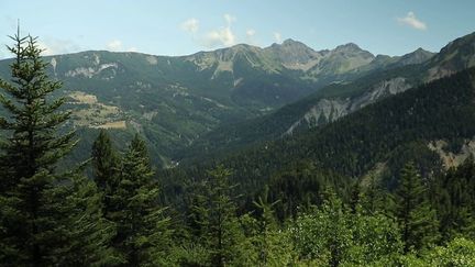 Hautes-Alpes : une série de disparitions inquiétante dans la forêt du Boscodon