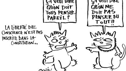 Le jeune homme de 29 ans est considéré comme l'un des premiers prisonniers d'opinion de l'après-régime Ben Ali. Pour avoir diffusé des caricatures de l'islam et des écrits satiriques, le blogueur a été condamné à sept ans et demi de prison. Gracié au bout de deux ans, Jabeur Mejri a quitté la Tunisie. (Willis from Tunis (Tunisie) - Cartooning for Peace)