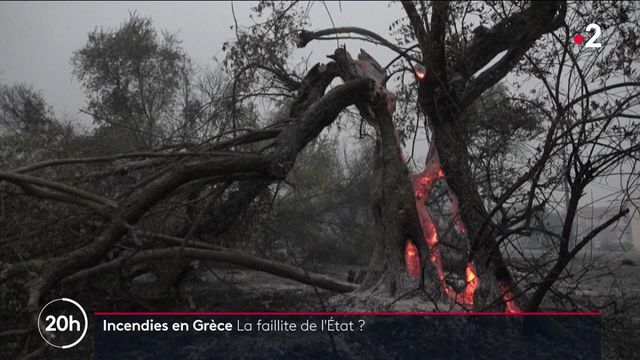 Incendies en Grèce : les flammes laissent place à un ...