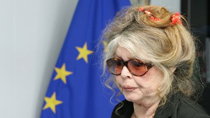 Brigitte Bardot à la Commission européenne de Bruxelles, le 9 juin 2006. (FRANCOIS LENOIR / REUTERS)