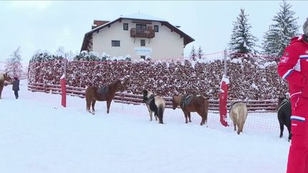 Hautes-Alpes : une station de ski remplace les remontées mécaniques par des chevaux