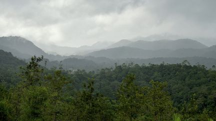 La chaîne de montagnes des Ghâts occidentaux (Inde) est classée au patrimoine mondial de l'Unesco. (MANJUNATH KIRAN / AFP)