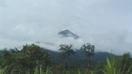 Vue du mont Cameroun depuis le route de Kribi, au Cameroun, en mars 2007. (ROYNO / WIKIMEDIA COMMONS)