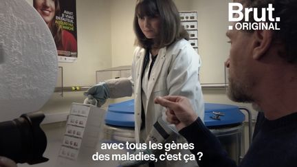 Ici, les chercheurs travaillent sur des maladies génétiques rares qui touchent 3 millions de personnes en France. Brut a suivi Jean-Paul Rouve, parrain du Téléthon, dans les labos du Généthon. Et voilà comment les dons ont permis de faire avancer la recherche. Concrètement.