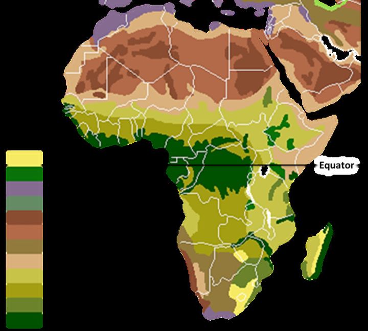 Les forêts humides tropicales (en vert foncé) couvrent encore la plus grande partie du centre et de l’ouest de l’Afrique.  (Vzb83/wiki, CC BY-SA)